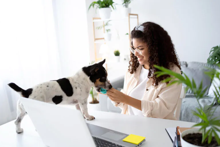 Contabilidade para Clínicas Veterinárias no Rio de Janeiro Como Otimizar sua Gestão